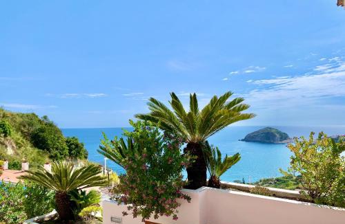Barano d'Ischia House | Casa Siciliano