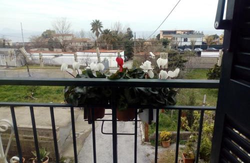 Ercolano Apartment | CASA VACANZE da Rosy