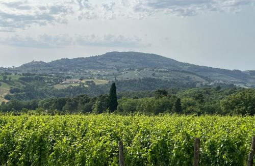 Massa Martana House | Casale Armonia