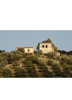 Guardavalle House | Case vacanze Torrerusso