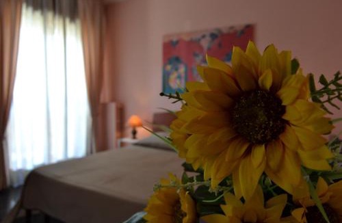 Catanzaro House | Cassiodoro Rooms Affittacamere
