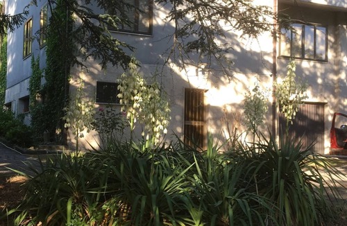 Castel di Sangro Villa | Castel di Sangro Villa with park in the heart of the city