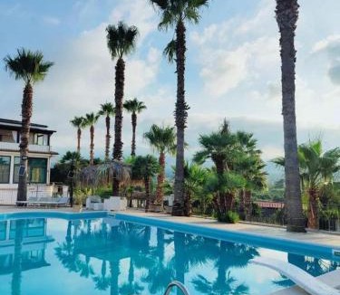 Lamezia Terme Bed & Breakfast | Cocus - By Palmhouse