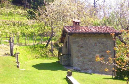 Moggiana House | Comfortable House in Bibbiena + Pool