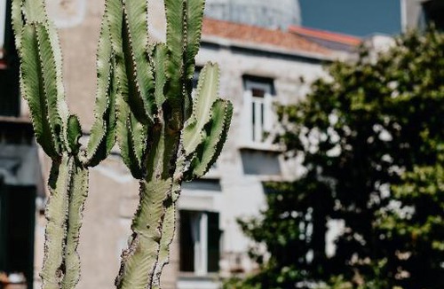 Historical Center Hotel | Costantinopoli 104