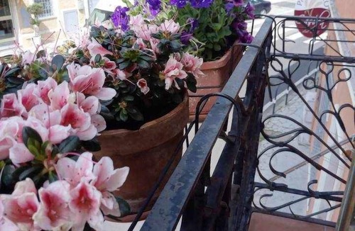 Olbia City Centre Apartment | Cozy rooms to rent in Olbia City Center