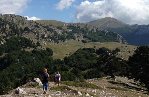 Viggianello House | "CUORE DEL POLLINO" Locazione turistica