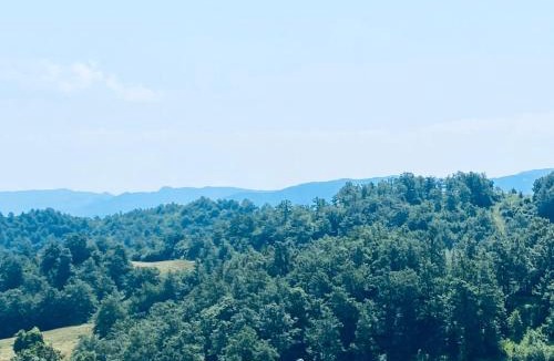 Pieve Santo Stefano Apartment | Da Santina 23