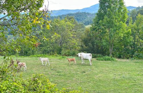 Pieve Santo Stefano Apartment | Da Santina 23