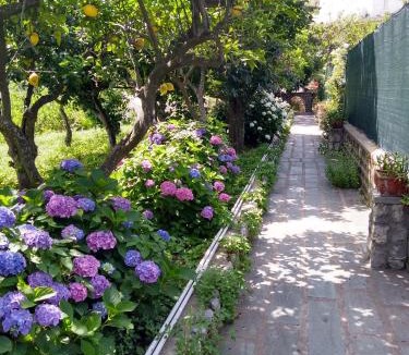 Marina Grande House | Depandance Casa Paolina
