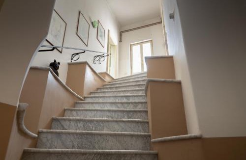 Colli al Volturno Apartment | Dimora 'Medoro'