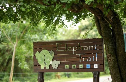 Sevanagala Hotel | Elephant Trail