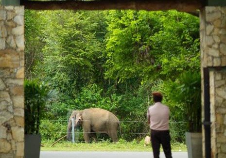 Sevanagala Hotel | Elephant Trail
