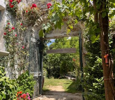 Tramonti House | Felicia's Country House