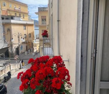 Torre Annunziata Apartment | Fronte del porto