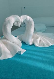 Torre Annunziata Bed & Breakfast | Garden green da VIRNA
