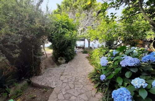 Procida House | GIARDINO BLU OLTREMARE - exlusive garden