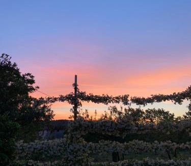 Sant'Agata de'Goti House | Ginger House
