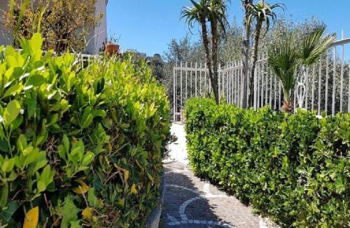 Lacco Ameno House | Holiday Apartments