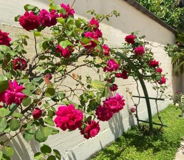 Poggiomarino Hotel | Hotel Ginevra