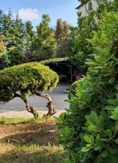 Qualiano Hotel | Hotel Mediterraneo