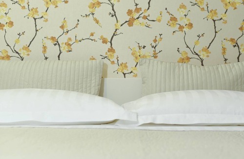 Piana Romana Farm Other | HURZ - Giardino Sannita