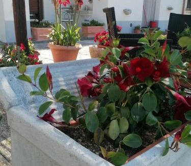 San Lazzaro Bed & Breakfast | Il Casale del Generale