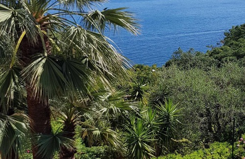 Casamicciola Terme Villa | Ischia Casamicciola: Villa surrounded by nature, in the silence more 'absolute