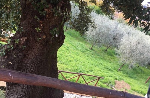 Civitella d'Agliano House | Our Lady shed Morciano