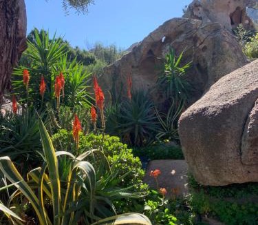 Liscia di Vacca House | L'Olivastro Appartamenti a Porto Cervo