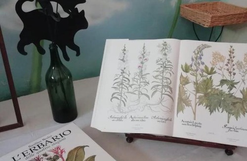 Civitella Casanova Bed & Breakfast | La casa di Zia Mimina