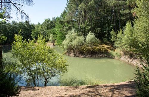 Civitella in Val di Chiana House | La Casa nel Bosco