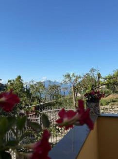Meta Bed & Breakfast | La Culla di Minerva