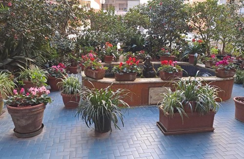 Rione Alto Apartment | La Veronica Apartment