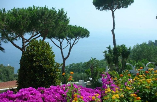 Casamicciola Terme Villa | Lady Bouganvillea, private villa to rent in Ischia island