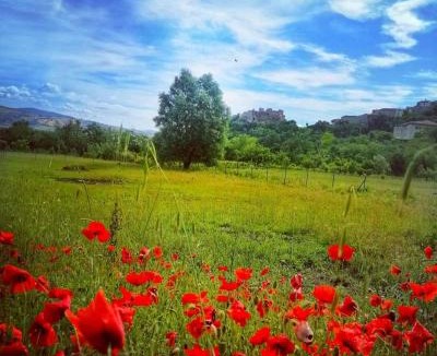 Castropignano House | Le case all'arco