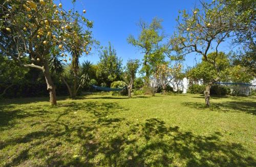 Procida House | Le Querce