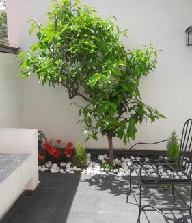 Torre Annunziata Bed & Breakfast | Lemon Tree