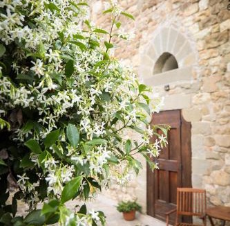 Twist House | Little Room - Camera indipendente nella Torre