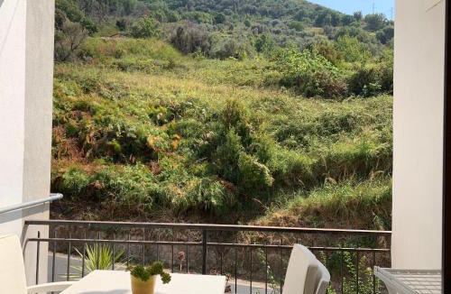 Sangineto Bed & Breakfast | Luna e stelle
