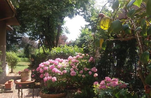 Monteriggioni Bed & Breakfast | Lupo Azzurro