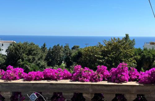 Capri Apartment | LUXURY HOUSE "VILLA POMPEIANA" Via CAMERELLE CON TERRAZZA VISTA MARE