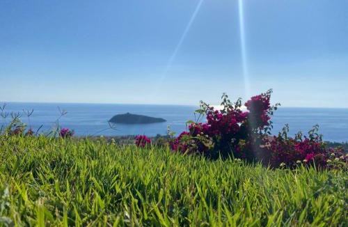 Cucco-Riviere Villa | Luxury Villa Cirella happy island