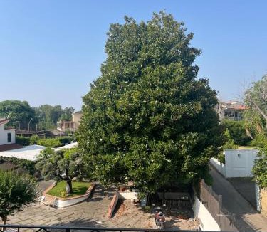 San Giuseppe Vesuviano Apartment | Maison Aielli 112