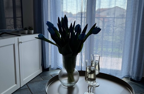 Bomerano Apartment | Mamaral Holiday House, 50 meters from the path of the gods. Free Parking.