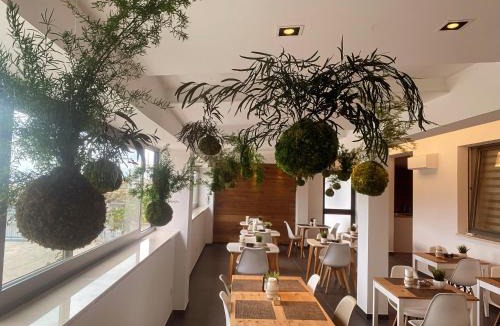 Lavello Hotel | Moma Hotel Wellness & Spa