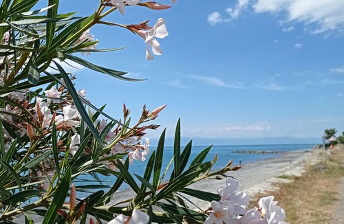 Amendolara Apartment | NEW apartment 300 meters from the sea