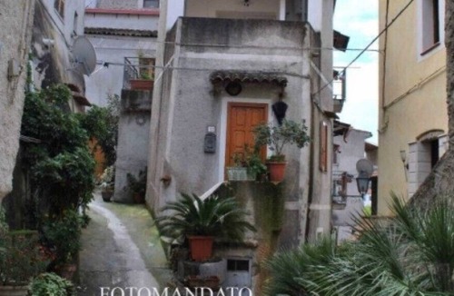 San Nicola Arcella House | Nice one bedroom apartment with garden San Nicola Arcella Orchidea