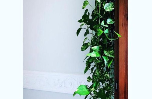 Catanzaro Bed & Breakfast | Palazzo Samà