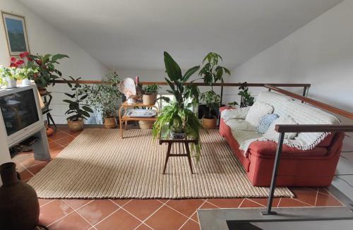 San Feliciano House | Panorami sul Trasimeno